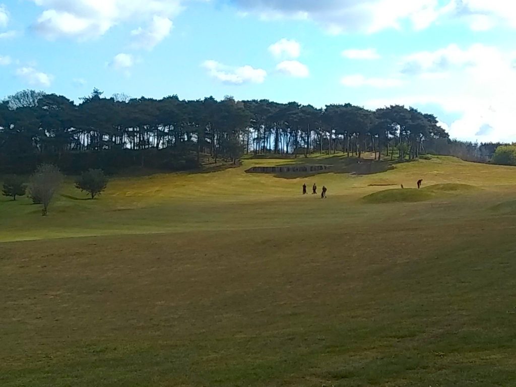 Golf Course Views